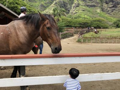 ドライブの休憩場所に最適