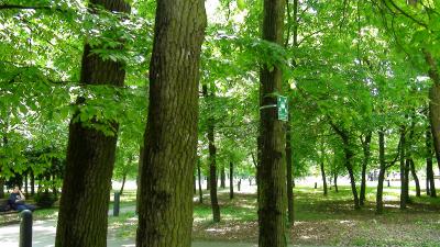 空港出たらすぐに緑あふれる公園