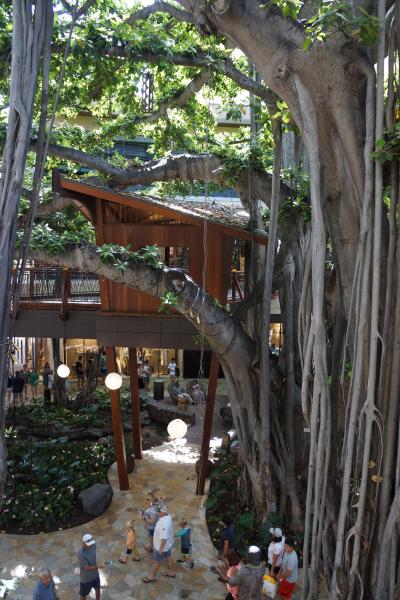 休憩スポットとしても