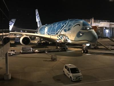 フライングホヌ