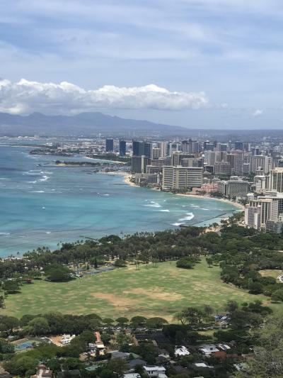 頂上からの景色は最高