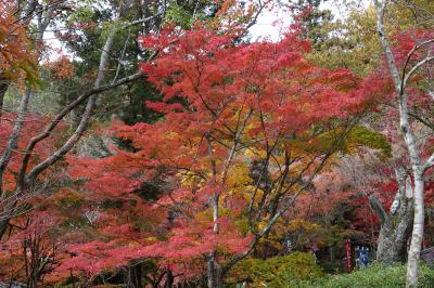 広島の紅葉の名所