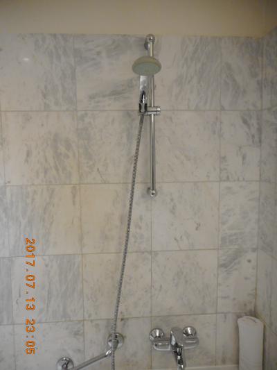 フレキシブルシャワー