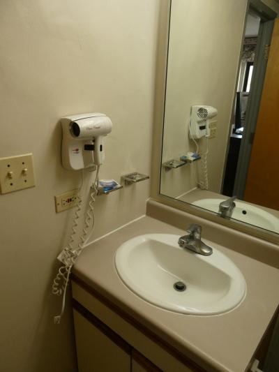 洗面台、ドライヤー付き