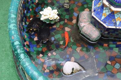 パティオには亀と鯉