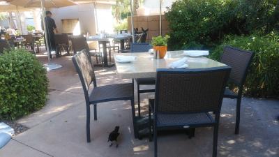 朝食を食べたレストランのテラスです