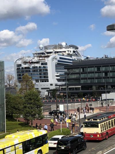 大型客船ダイヤモンドプリンセスが目の前に！