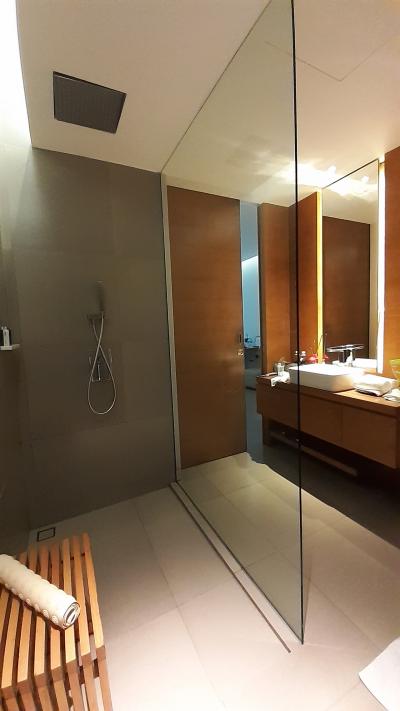 シャワーと洗面台。