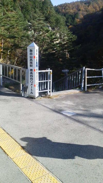 紅葉のハイキングを楽しんできました。