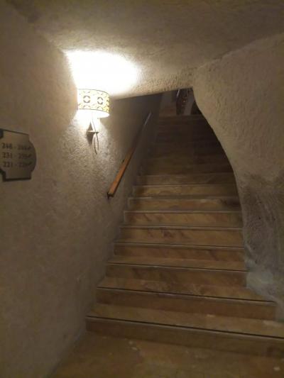 客室までは洞窟の雰囲気十分