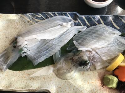 アオリイカでした