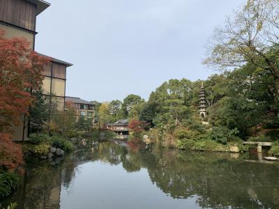 朝ごはんだけで満喫できる秋の優雅な京都