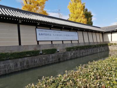 東本願寺の黄色い銀杏は綺麗です。