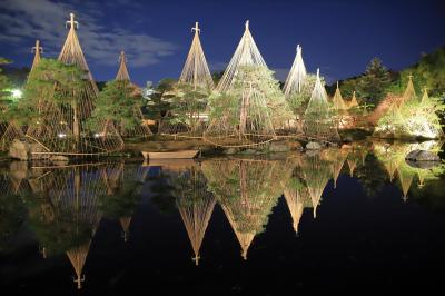ライトアップが素晴らしい