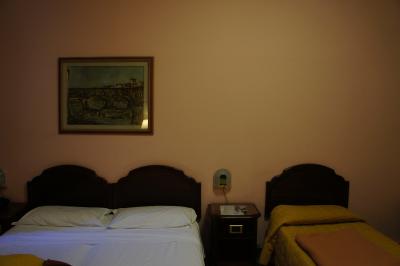 大きなベッドとシングルベッドが各1台の部屋でした