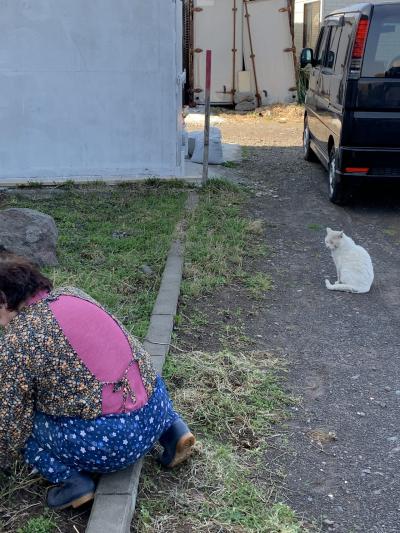 民宿海憧（かいどう）