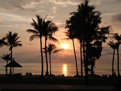 夕陽が海に溶けていく