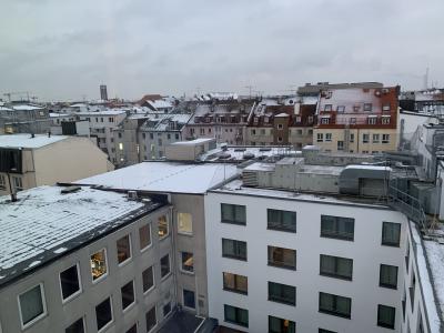 朝雪が積もっていました