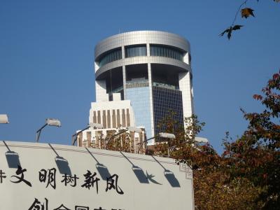 近くに高い建物がなかったので目立ちました