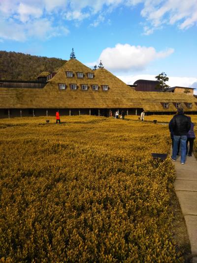 ふわふわ出来立てバームクーヘン