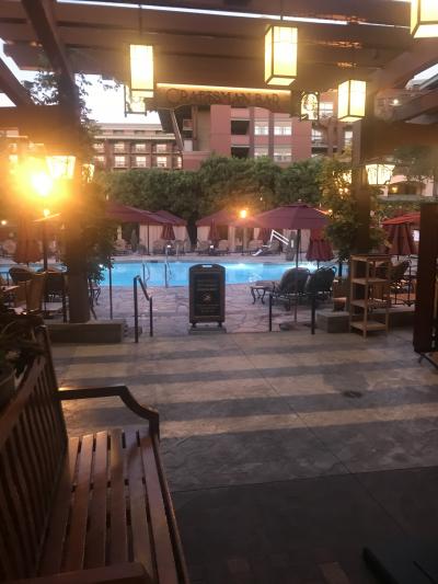 泳いでる人もいました