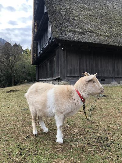 のんびり癒されました