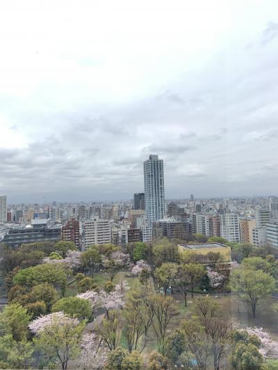 新宿中央公園が眼下に広がる春がおすすめのホテル