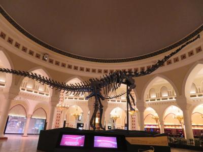 モールの中にあります