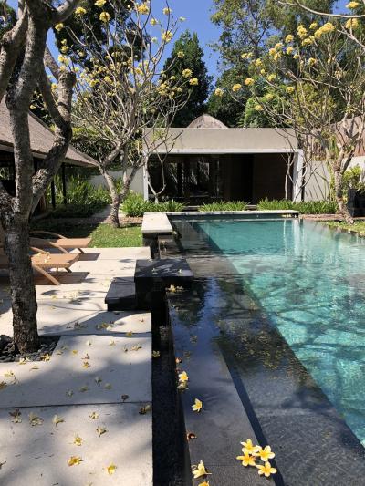 プールがドーンと