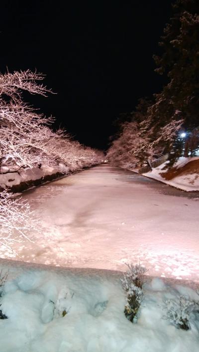 桜に見える冬の弘前城公園