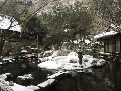 食事が美味しく品数もたっぷり