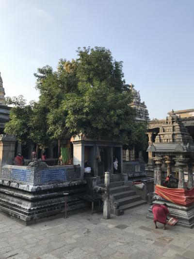 カーンチープラムで一番印象的だった寺院