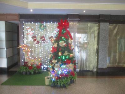 グレースランド バンコク バイ グレース ホテル