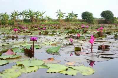 ちょっと期待はずれ