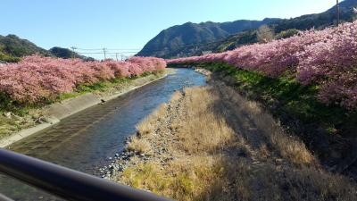 駐車場はどこも1日700円でした。
