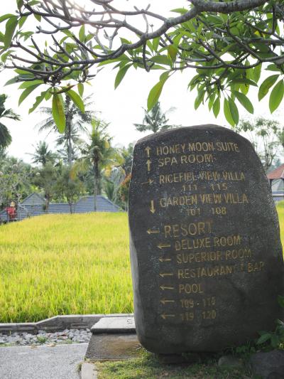 案内表示板です。