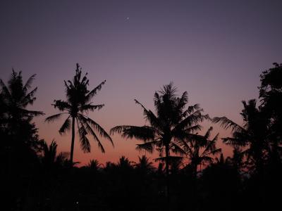 夕暮れ時はこんなシルエットも見られます