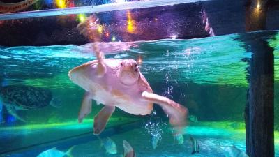 シーライフバンコク