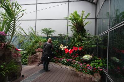 トランジット時間に遊ぶには、十分な広さだと思います。