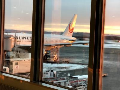 成田空港第２ターミナル　アメリカン航空　ビジネスラウンジ