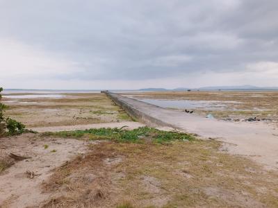 晴れた満潮時を狙うべし