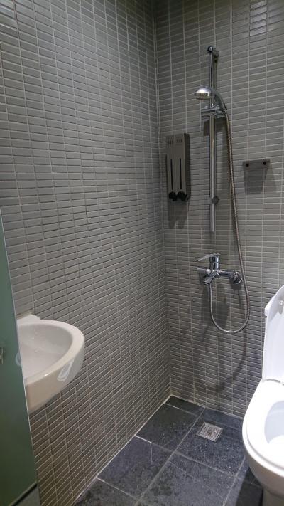 兎に角、下水臭かったバスルーム。シャワーとトイレに仕切り無し