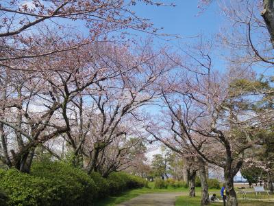 湖城の跡地