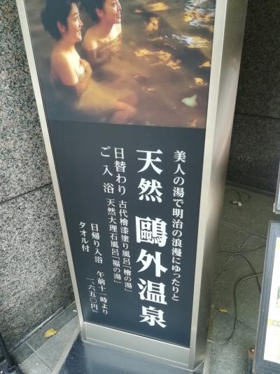 水月ホテル鴎外荘