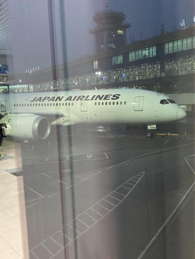 成田モスクワ便