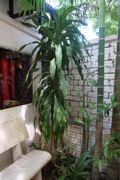 １階にはちょっとした庭、２階にはバルコニーがあります