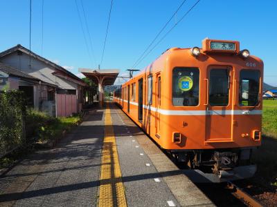 桑名から大垣を経て揖斐川までを走る電車です。