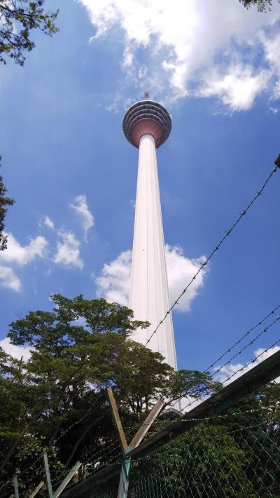 ここからの景色