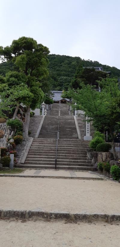 軽い山登り