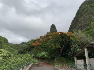 神秘的で清々しい気持ち良い場所